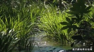 里山へGO!動画（女性ナレーション）