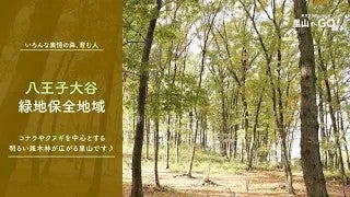 保全地域ってどんなところ？＠八王子大谷緑地保全地域
