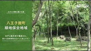 保全地域ってどんなところ？＠八王子館町緑地保全地域
