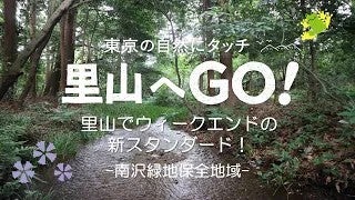 【里山へGO！】保全地域体験プログラム＠南沢緑地保全地域