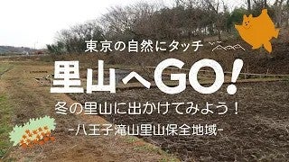 【里山へGO！】保全地域体験プログラム＠八王子滝山里山保全地域