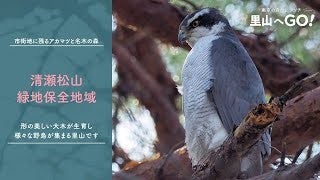 保全地域ってどんなところ？＠清瀬松山緑地保全地域