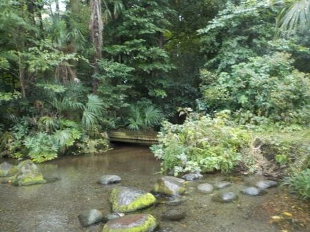 【東久留米市民優先】湧水の森で１日自然体験！～地元密着プログラム～【2025年10月25日実施 / 南沢緑地保全地域 / 自然観察 / 森林整備 / ボランティア】