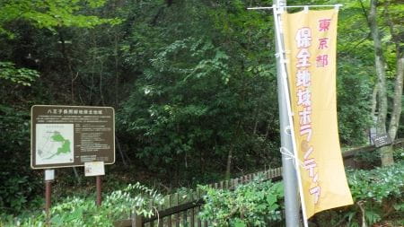 八王子の丘陵地で自然体験！
～多様な生きものが棲める里山をつくろう～
【2025年9月27日実施 / 八王子長房緑地保全地域 / 下草刈り】