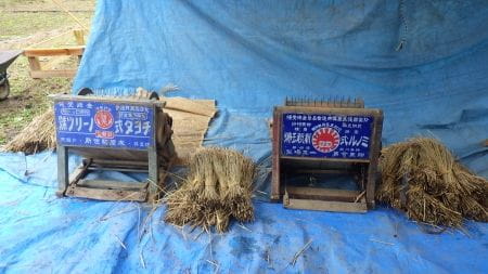 東京の里山で米作り体験！～脱穀編～
【2025年10月25日実施/ 横沢入里山保全地域 / 稲刈り / 脱穀 / ボランティア】