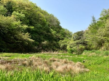 東京の里山で米作り体験！田んぼの準備をはじめよう！種まき編
【2025年4月19日実施/ 横沢入里山保全地域/ 種まき / ボランティア】