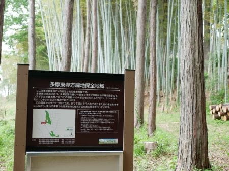 多摩の竹林で自然体験！～竹伐採をしてみよう～【2025年４月２６日実施 / 多摩東寺方緑地保全地域 / 竹刈り / タケノコ掘り / 自然観察 / 東京 / ボランティア】