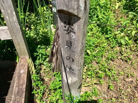 国分寺市の方必見！身近な自然とふれあおう！～地元密着イベント～
【2025年7月26日実施 / 国分寺姿見の池緑地保全地域 / 下草刈り】