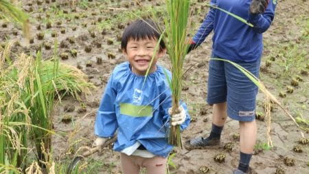 東京の里山で米作り体験! 秋の実りを収穫しよう!
【2025年10月4日（土）実施 / 横沢入里山保全地域 /稲刈り・はざかけ / ボランティア】