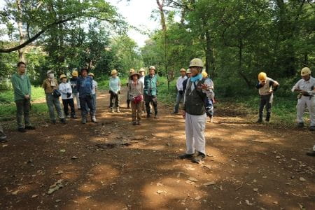 市街地に残るアカマツと名木の森を守ろう！【2024年９月７日実施 / 清瀬松山緑地保全地域 / 自然観察 / 笹刈り / 除伐 /　落枝整理 / 東京 / ボランティア】