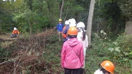 美しい武蔵野の雑木林を守ろう！【2024年11月16日実施 / 海道緑地保全地域 / 自然観察 / 下草刈り / 落枝整理 / 東京 / ボランティア】