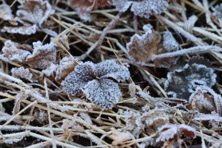中高大学生集まれ！自然体験プログラム【2025年2月23日実施 / 八王子滝山里山保全地域 / 自然観察 / 樹木調査/ 樹木伐採 / ボランティア】