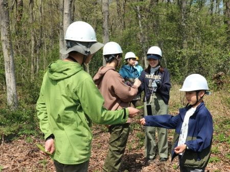 美しい武蔵野の雑木林を守ろう！【2024年04月13日実施 / 海道緑地保全地域 / 自然観察 / 落ち葉溜め用マス作り / クラフト体験 /東京 / ボランティア】