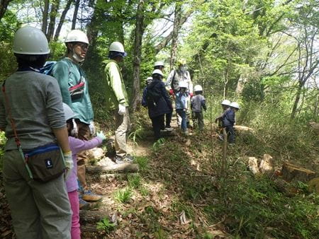 八王子の里山で自然体験！希少な植物の育つ森を守ろう！【2024年4月20日実施 / 八王子長房緑地保全地域 / 自然観察 / ネイチャーゲーム / 保護柵作り/ 東京 / ボランティア】