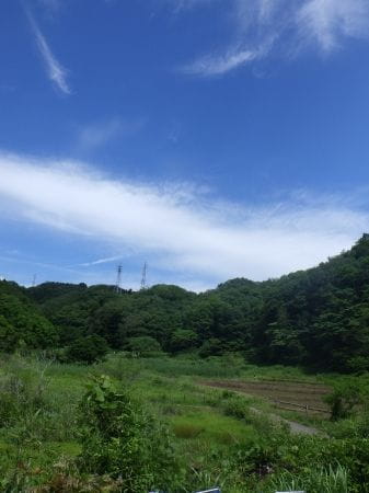 【横沢入イベント初参加者対象】東京の里山で稲作体験！田植えの季節到来！【2024年6月1日実施 / 横沢入里山保全地域 / 田んぼ / 田植え / 東京 / ボランティア】