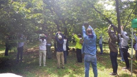 恵みの森の1日里山体験！～大学生向けプログラム～【2023年9月3日実施 / 宇津木緑地保全地域 / 自然観察 / ?下草刈り / 薪割り / 樹木剪定 / クリ拾い 】