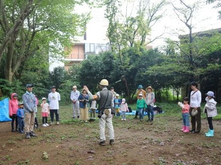 市街地に残るアカマツと名木の森を守ろう！【2023年9月9日実施 / 清瀬松山緑地保全地域 / 自然観察 / 笹刈り / 除伐 /　落枝整理 / 東京 / ボランティア】