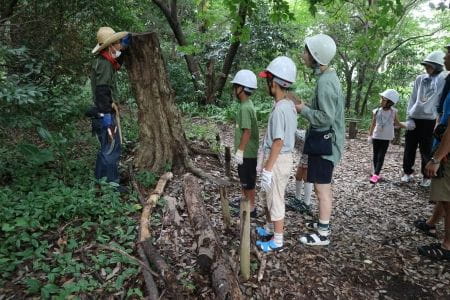 湧水の豊かな自然を守ろう！【2023年7月22日実施 / 矢川緑地保全地域 / 自然観察 / 草刈り / 湿地 / 整備 / 東京 / ボランティア】