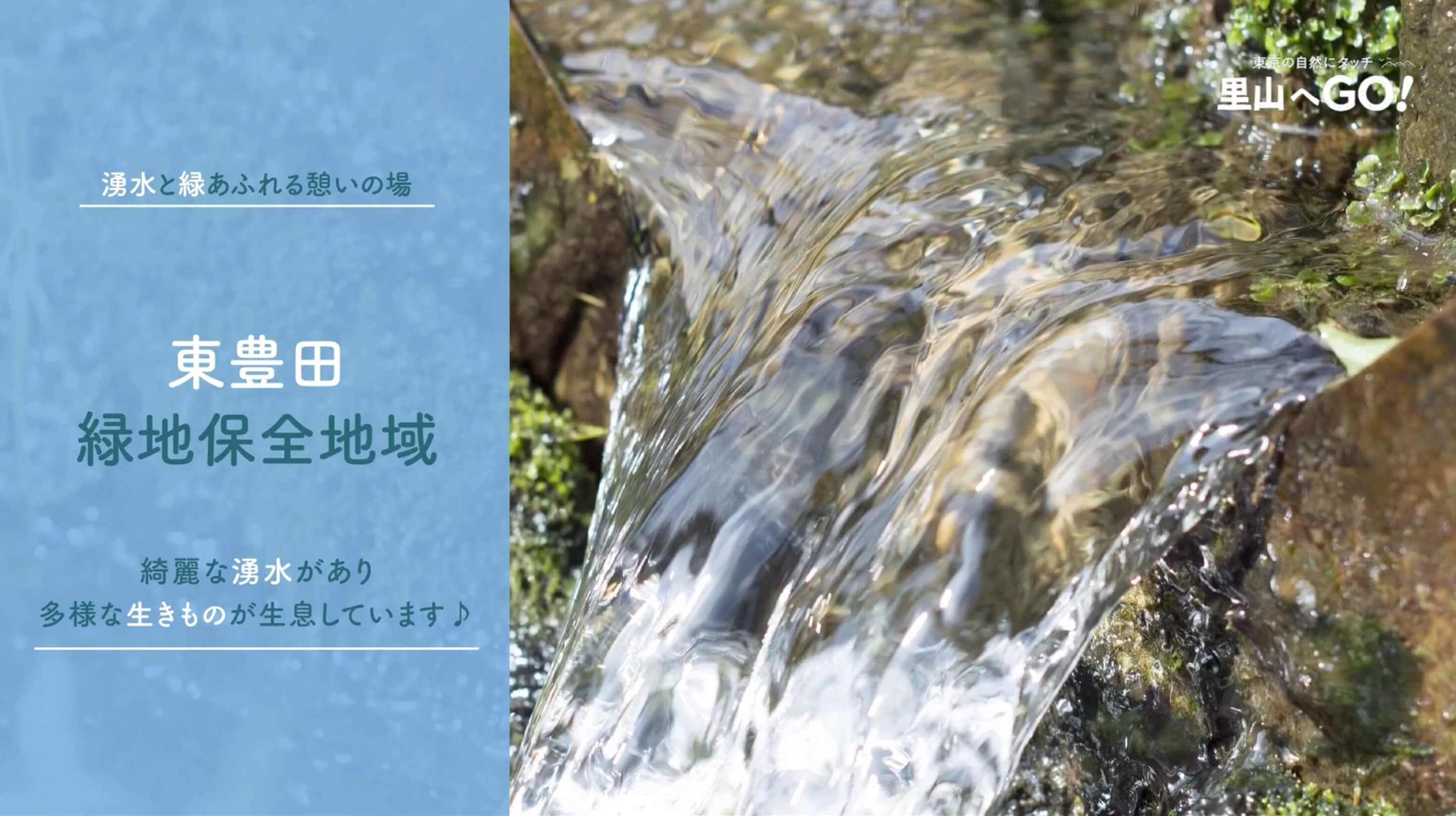 保全地域ってどんなところ？