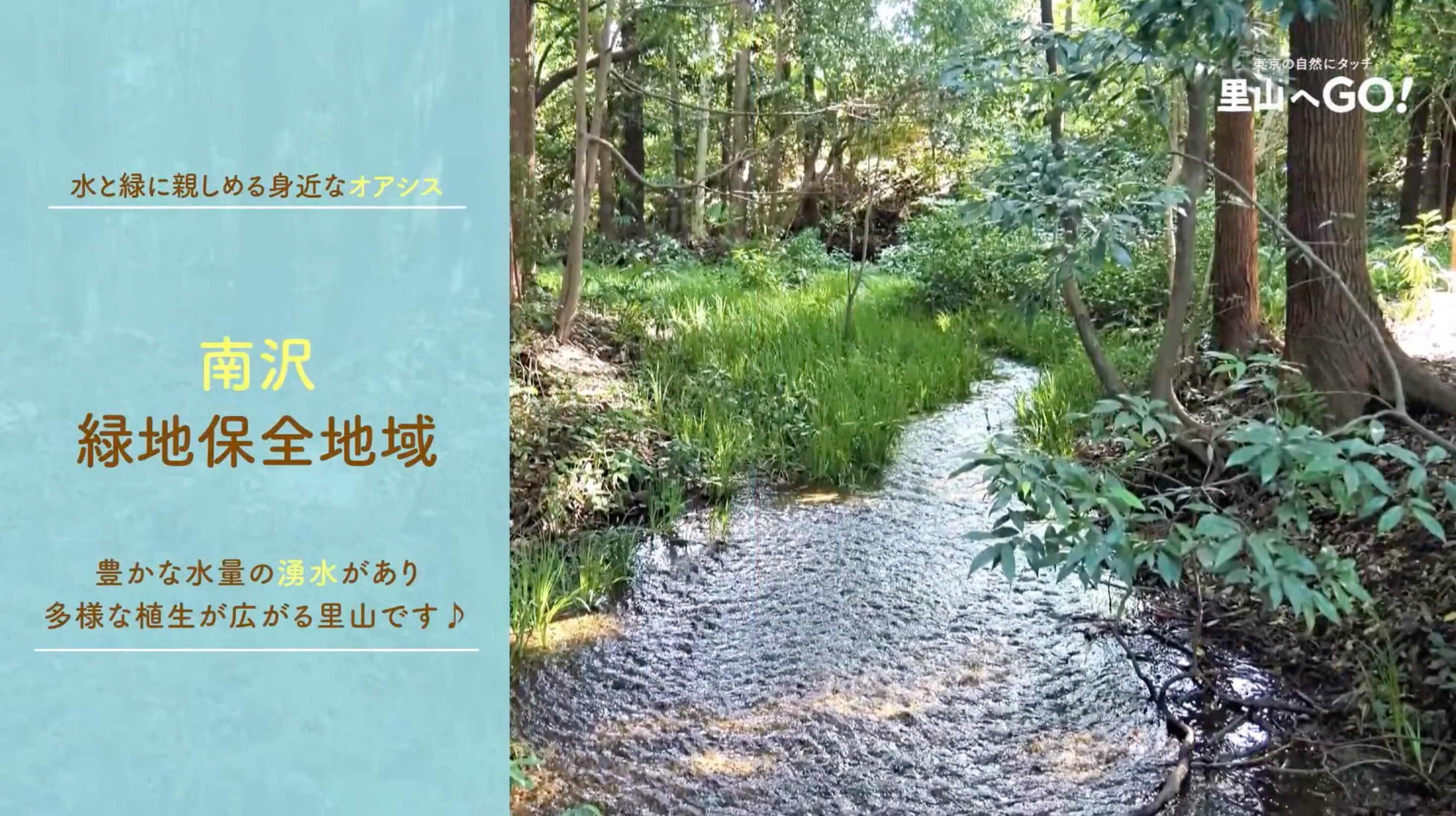 保全地域ってどんなところ？