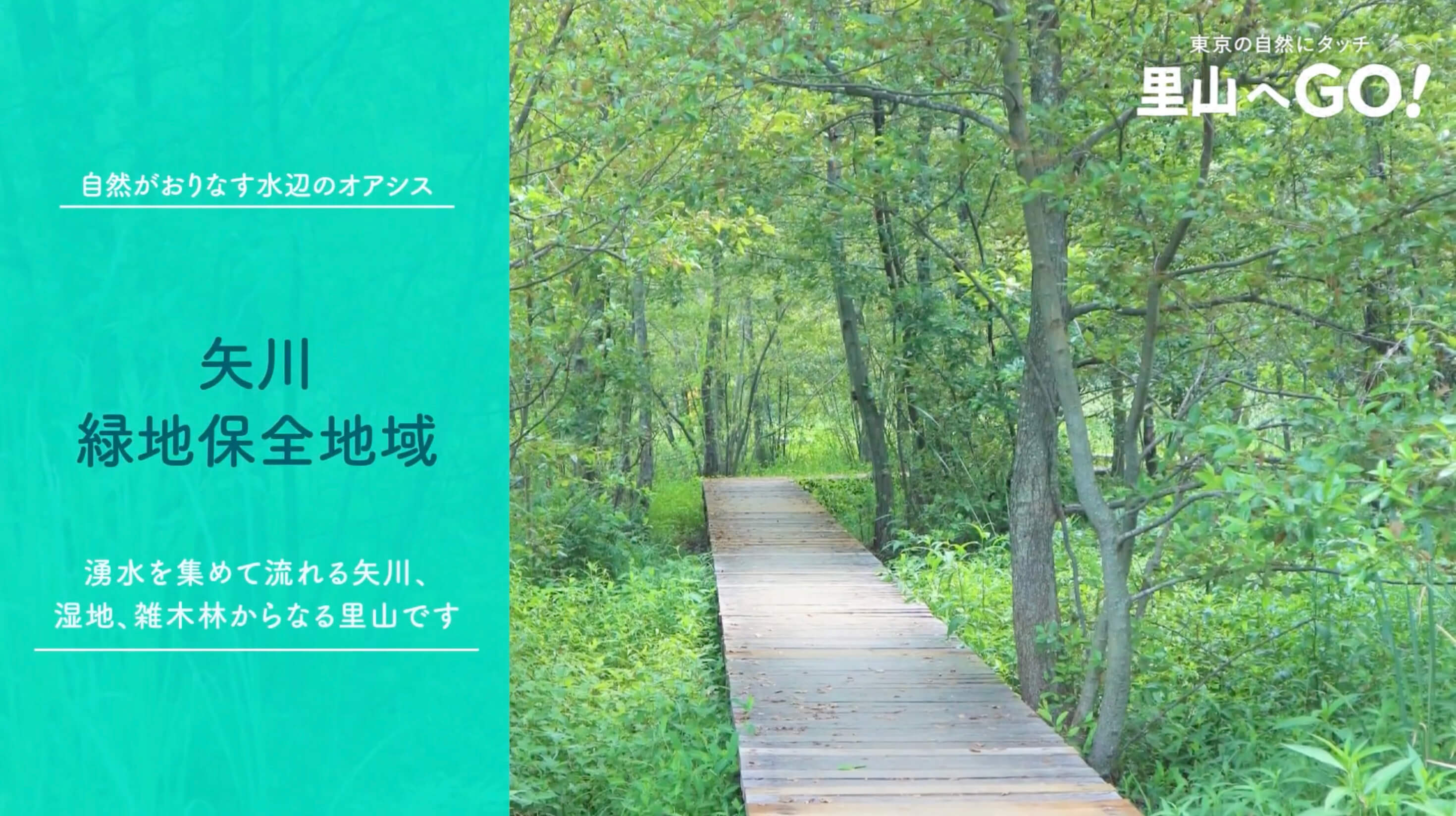 保全地域ってどんなところ？